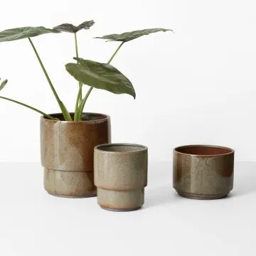Angus Planters in the Tide glaze with an Alocasia
