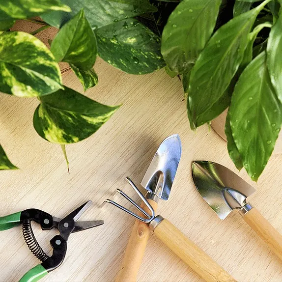 Garden trowel, fork and secateurs beside a pothos